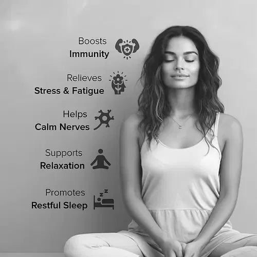 GNC Zinc Magnesium Amino (ZMA) Complex