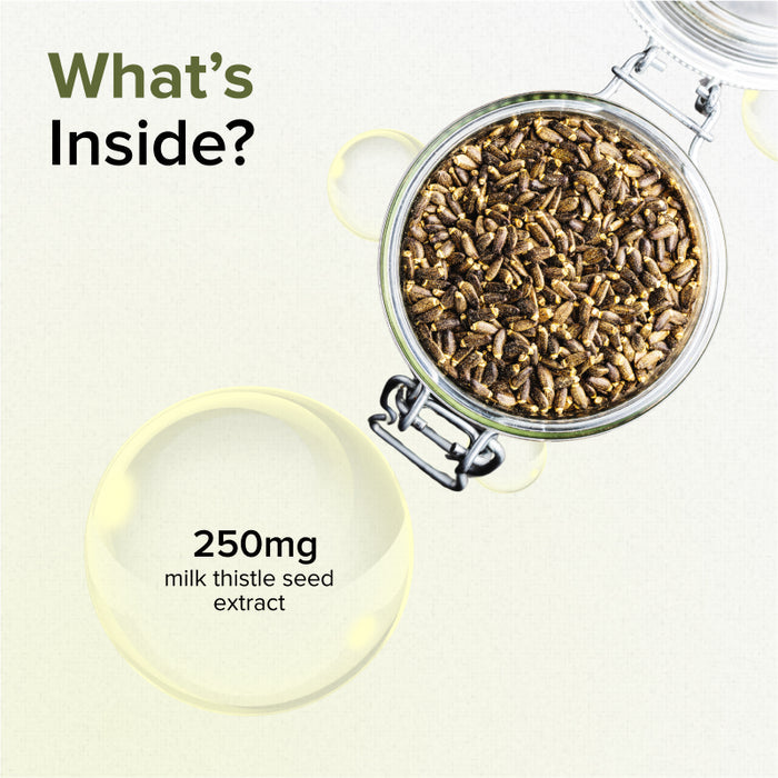 GNC Herbal Plus Milk Thistle